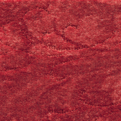 CALIFORNIA DREAMS GINGER NUT Image