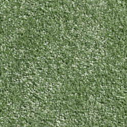 CAROUSEL EMERALD 40 Image