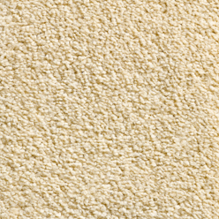 CAROUSEL IVORY 70 Image