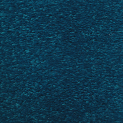 CAROUSEL KINGFISHER 83 Image