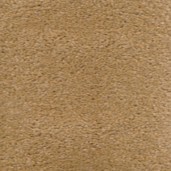 CAROUSEL CORN 90 Image