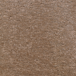 CAROUSEL MUSHROOM 91 Image