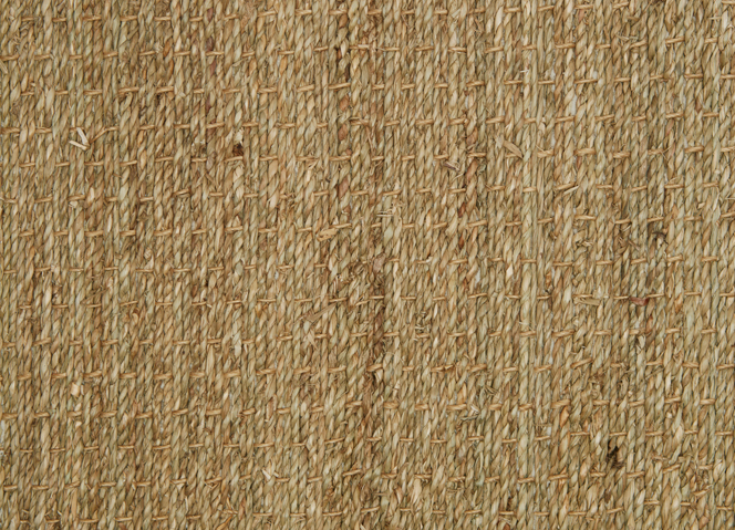 Seagrass Standard - Standard