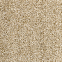 REVOLUTION WARM BEIGE 70 Image