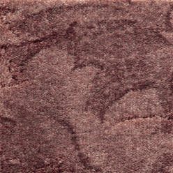 CALIFORNIA DREAMS CHOCOLATE Image