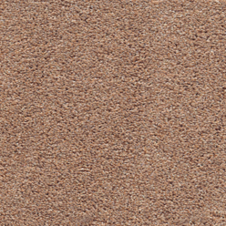 STAINGUARD HARVEST HEATHERS ALMOND 34 Image