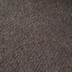 SAMSON RIB BRACKEN Image