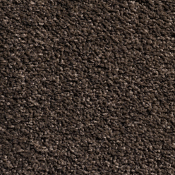 CAROUSEL HAVANNA 175 Image