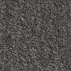 CAROUSEL PEWTER 176 Image