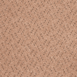 SCALA SOLUTIONS SCB230 CLASSIC FLAX Image