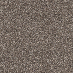 PRIMO CHOICE ELITE BRAZIL NUT Image