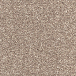 PRIMO CHOICE ELITE FILBERT Image