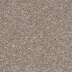 PRIMO CHOICE SUPER MUSTANG Image