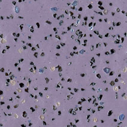 POLYSAFE STANDARD 2.5MM 4580 LILAC BLUE Image