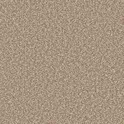 PRIMO ULTRA BEAVER Image