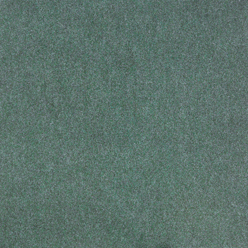 COSMOS RIB 6627 GREEN Image