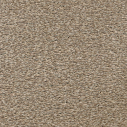 Amber Saxony Extra - 404 Latte