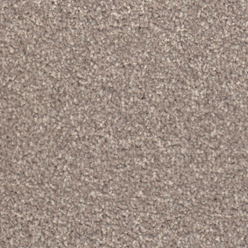 APOLLO PLUS STEPPING STONE Image