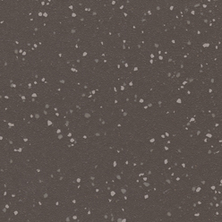 POLYSAFE VERONA PUR 5204 CAFE NOIR Image