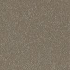 ALTRO CLASSIC 25 TRUFFLE X2545 Image
