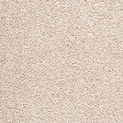 SPLENDID SAXONY 670 COTTON FB Image