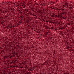 CALIFORNIA DREAMS SUMMER SUPRISE Image