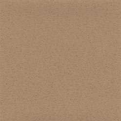 ALTRO AQUARIUS IGUANA AQ2021 Image