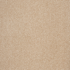 STAINFREE ARENA NEW CORN 03 Image