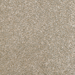 IMPRESSION SAXONY 302 BEIGE Image