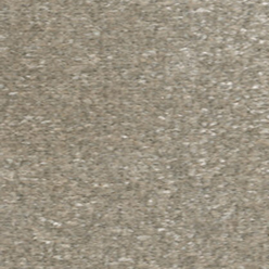 JAMBOREE 261 WINTERS GATE Image