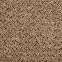 NEW SCALA CLASSIC 231 FLAX Image