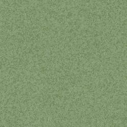 PRIMO SAFE T DARK GREEN 804 Image