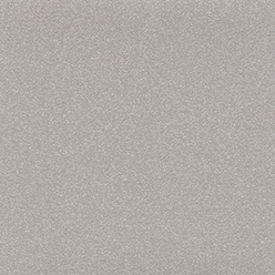 ALTRO PISCES SHORELINE SB2006 Image