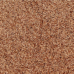 HAMPSHIRE SAXONY (UNITY) 208 ACTIONBAC Image