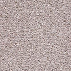 HAMPSHIRE SAXONY (UNITY) 206 FELTBAC Image