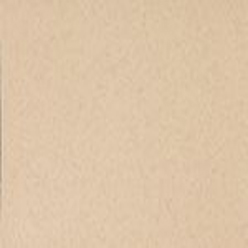 ALTRO RELIANCE 25 ARENA D2510 Image