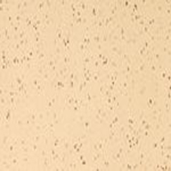 ALTRO RELIANCE 25 STATUE D2513 Image