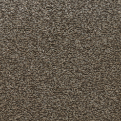 HONG KONG MAPLE 92 SB Image