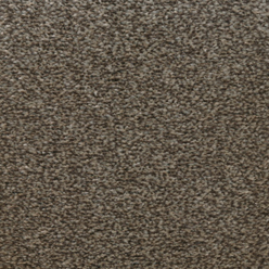 HONG KONG MAPLE 92 FB Image