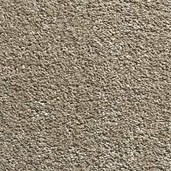 DELICATE TOUCH FAWN SUEDE 191 Image