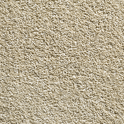 DELICATE TOUCH ANTIQUE CREAM 173 Image