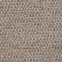 ROYAL WINDSOR (NEW) 07 MUSHROOM Image