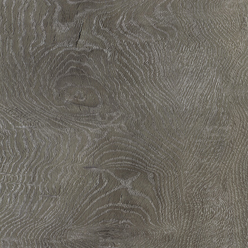 SIERRA EXEMPLA 9742 WOOD ARGENT OAK Image