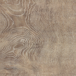 SIERRA EXEMPLA 9744 WOOD CHARACTER LIMED OAK Image