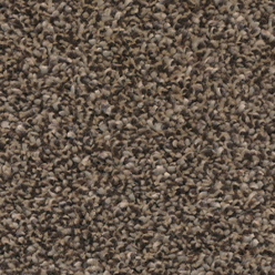 SENSUOUS ELITE ROSE BARK 91 Image