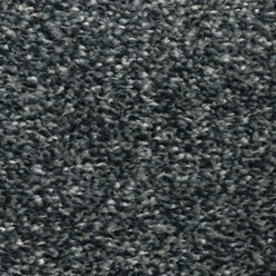 SANTA ROSA ACTION 76 Image