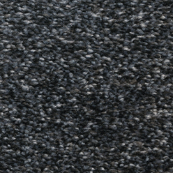 SANTA ROSA ACTION 77 Image