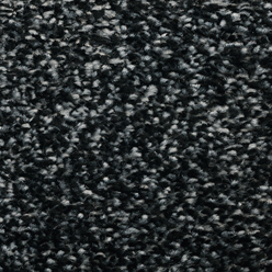 SANTA ROSA ACTION 78 Image