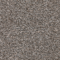 SENSUOUS CLASSIC FALLEN BURR 76 Image