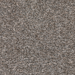 SENSUOUS ELITE FALLEN BURR 76 Image